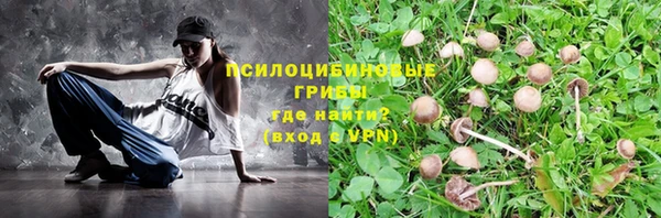 не бодяженный Абаза