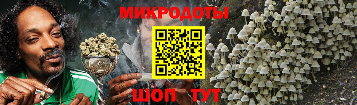 Псилоцибиновые грибы Psilocybe Анапа