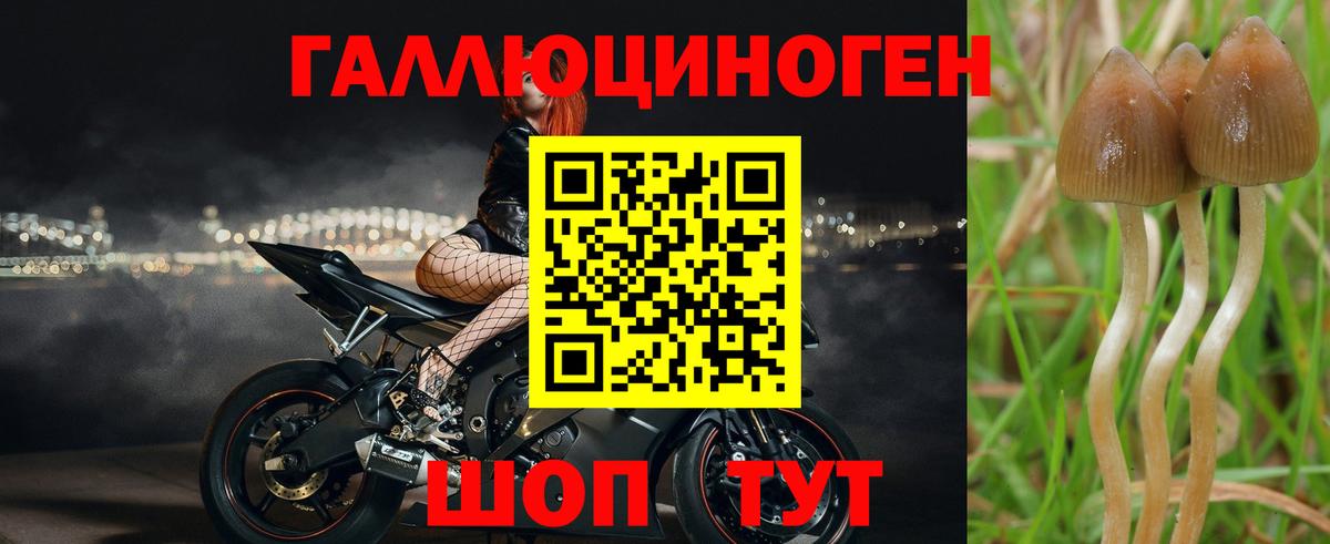 Псилоцибиновые грибы мицелий  Вход с VPN  Псилоцибиновые грибы мухоморы  даркнет сайт  Анапа 